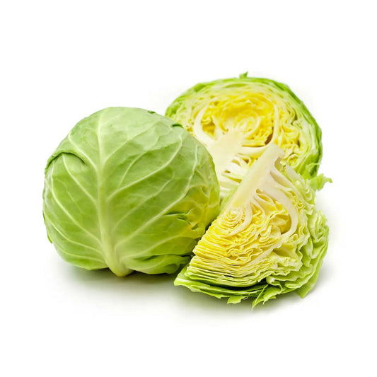 Fresh White Cabbage one piece